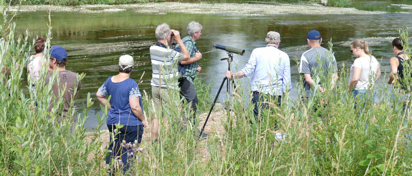 Eine Gruppe steht bei einer Gewässerführung an einem Fluss.