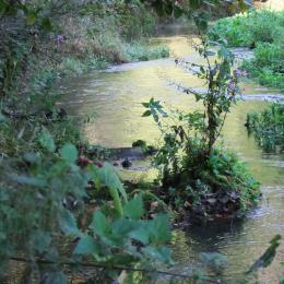 natürlicher Flusslauf