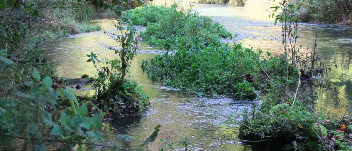 natürlicher Flusslauf